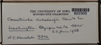 Image Associated With the Occurence